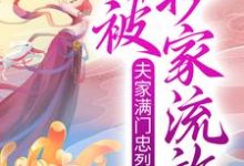 在线寻找赫知冉墨玖晔的小说,夫家满门忠烈,却被抄家流放?免费阅读-红梅文学