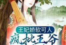哪里能找到王妃娇软可人,疯批王爷日日求负责小说的最新更新和免费章节?-红梅文学
