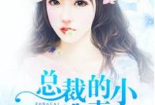 总裁的小逃妻小说,总裁的小逃妻最新章节-红梅文学