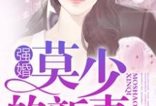 强婚:莫少的新妻(沈南乔莫北丞)在线免费阅读-红梅文学