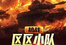 薛昊天小说在线章节免费阅读(抗战:区区小队,全歼鬼子师团无弹窗无删减)-红梅文学