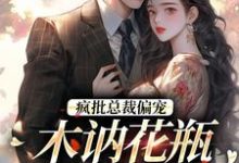 疯批总裁偏宠，木讷花瓶太惹眼！小说全文阅读需要付费吗？寻找免费资源-红梅文学