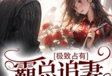 求极致占有：霸总追妻也很甜小说的全文免费阅读链接-红梅文学