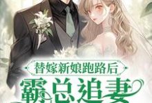 替嫁新娘跑路后,霸总追妻火葬场了小说全文阅读需要付费吗?寻找免费资源-红梅文学