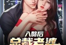 主人公叫肖南沈叶的小说入赘后,总裁老婆心爱白月光在线阅读章节-红梅文学