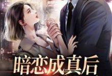 暗恋成真后,我被男神爆宠(许锦云舒衍)在线免费阅读-红梅文学