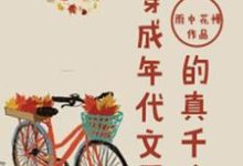 穿成年代文里的真千金小说,穿成年代文里的真千金免费阅读-红梅文学