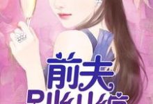 杨浩为主角的小说前夫,别纠缠在线阅读-红梅文学