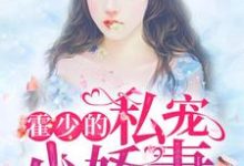哪里能找到霍少的私宠小娇妻小说的全部章节？-红梅文学