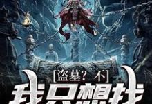 盗墓？不，我只想找失踪的妈小说免费资源，盗墓？不，我只想找失踪的妈在线阅读-红梅文学