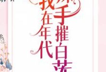 小说《我在年代辣手摧白莲》章节免费阅读-红梅文学