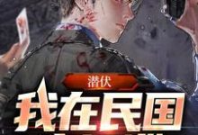 寻找能够免费阅读潜伏:我在民国当间谍小说的平台-红梅文学