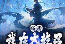 免费阅读李承泽为主角的小说,高武:我在大乾召唤历史英雄在线看-红梅文学