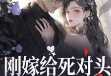 完结版《刚嫁给死对头,他就骗我生崽》章节阅读-红梅文学