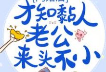 闪婚后,才知黏人老公来头不小小说有没有完整的免费版本在线阅读?-红梅文学