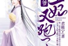 完结版《王爷,王妃又跑了》章节目录在线阅读-红梅文学