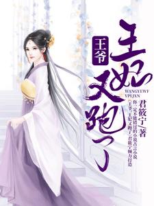 完结版《王爷，王妃又跑了》章节目录在线阅读