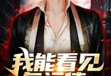 我能看见气运值小说有没有完整的免费版本在线阅读?-红梅文学