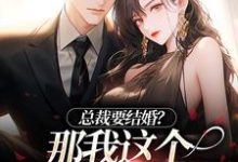 总裁要结婚?那我这个小情人怎么办这本小说完结了吗?免费查看最新章节-红梅文学