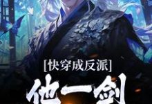快穿成反派,他一剑独断万古小说,快穿成反派,他一剑独断万古章节在线阅读-红梅文学