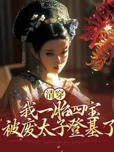 清穿：我一胎四宝，被废太子登基了胤礽若水小说在线章节免费阅读