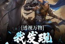 寻找能够免费阅读透视万物:我发现皇帝的密码小说的平台-红梅文学