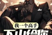 哪里能找到我一个高手,下山给你当保镖?小说的最新更新和免费章节?-红梅文学
