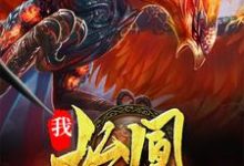 已完结小说《我，始凰，带领凤凰族退隐》最新章节-红梅文学