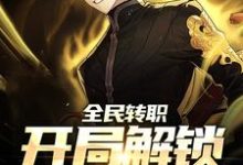 苏夜轩辕冰冰是哪本书的主角?寻找全民转职:开局解锁神级天赋免费阅读-红梅文学