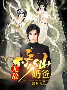 陈北姜雪囷囷李玟为主角的小说好看吗？求无敌修仙奶爸免费试读