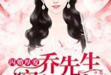 闪婚厚爱,乔先生穷追不舍小说,闪婚厚爱,乔先生穷追不舍章节在线阅读-红梅文学