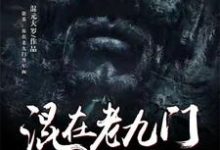 盗墓:混在老九门当军阀小说的无弹窗阅读体验,寻找免费阅读网站-红梅文学