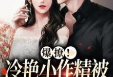 主人公叫沈肆林疏棠的小说哪里免费看-红梅文学