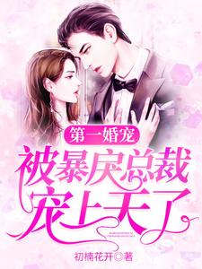 李时笙沈弋宸小说在哪里可以看