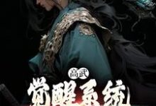 完结版《高武:觉醒系统,一拳终结神明》免费阅读-红梅文学