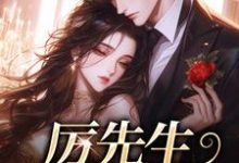 厉先生你轻点宠最新章节,厉先生你轻点宠章节在线阅读-红梅文学