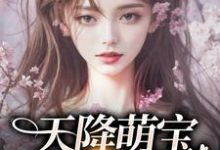 求推荐可以免费阅读天降萌宝,妈咪独宠我小说的网站-红梅文学