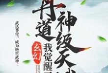 玄幻:我觉醒了丹道神级天赋这本小说在哪里可以看?哪里有免费试读章节?-红梅文学