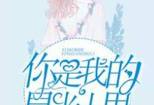 已完结小说《你是我的星光十里》章节免费阅读-红梅文学
