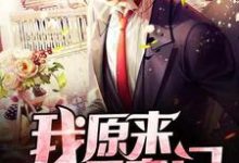 在线寻找张帆甜宝的小说,我原来是豪门免费阅读-红梅文学
