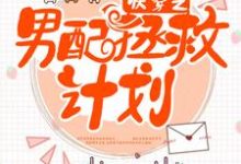 快穿之男配拯救计划小说有没有完结版在线?-红梅文学