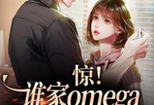 惊!谁家omega这么会钓人啊这本小说怎么样?免费在线阅读试试-红梅文学