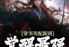 穿书男配跟班,觉醒最强系统这本小说在哪里可以看?哪里有免费试读章节?-红梅文学