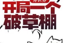 主角叫白小林的小说在哪阅读-红梅文学