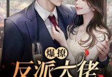 爆撩!反派大佬别太爱小说,爆撩!反派大佬别太爱陆峥野林妤笙-红梅文学