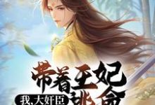 王土旺是哪本书的主角?寻找我,大奸臣,带着王妃逃命很合理啊免费阅读-红梅文学