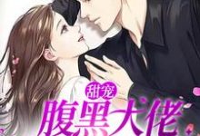 甜宠：腹黑大佬蓄谋已久的爱这本小说完结了吗？免费查看最新章节-红梅文学