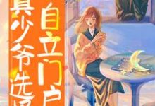 《假少年被团宠,真少爷选择自立门户》小说大结局免费试读 陈时小说-红梅文学