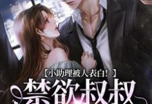 男女主人公夏之瑶沈砚辞小说小助理被人表白！禁欲叔叔坐不住了章节免费阅读-红梅文学