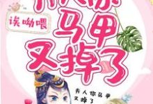 小说《夫人你马甲又掉了》在线章节阅读-红梅文学